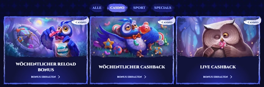Spinight Casino Boni